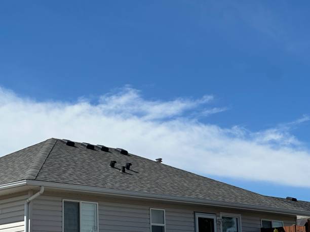 Best Asphalt Shingles Roofing  in Brodheadsville, PA